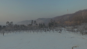 无人驾驶飞机飞越一个雪覆盖的田野13秒视频