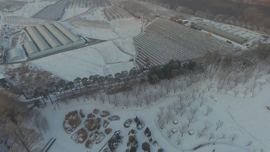 无人驾驶飞机飞越一个雪盖的公园视频