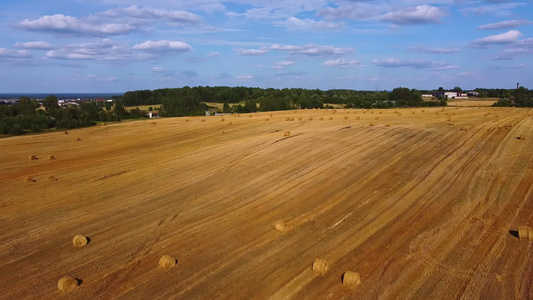 小麦收割后田地上一片稻草视频