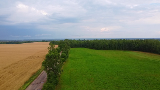 无人驾驶飞机飞越农田和草地农业概念包括视频