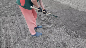 妇女手动将菜园用竹子铲平11秒视频