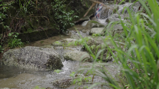 山景森林树木瀑布流水视频