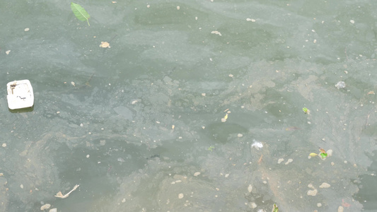 实拍被污染的水面 视频