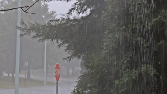 大水坑上大雨滴暴雨当日路边有波浪视频