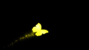 金色蝴蝶飞舞拖尾（带通道）3秒视频