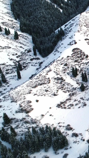 雪中峡谷中的小镇航拍5A景点39秒视频