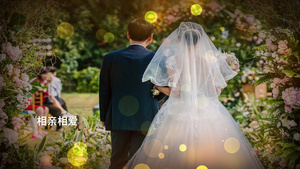 金色光斑婚礼婚庆图文片头展示会声会影模板83秒视频