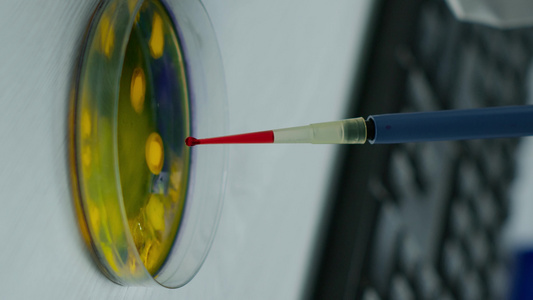 垂直视频使用微量移液器分析血液样本的科学家特写视频