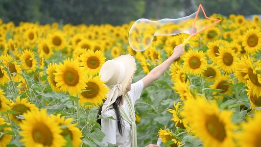 1080升格向日葵花海里玩泡泡的少女视频