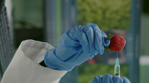 垂直视频科学家用DNA液体注入草莓9秒视频
