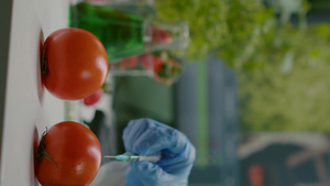 垂直视频科学家用杀虫剂注射有机番茄17秒视频