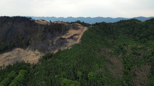 2022年8月28日 重庆北碚山火过后的缙云山焦土与隔离带航拍视频