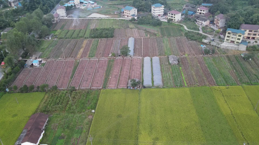 航拍乡村田野农田土地农业种植视频