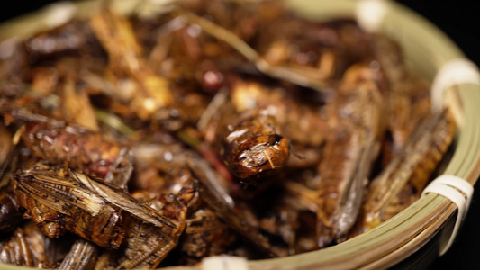 食用昆虫油炸蚂蚱蝗虫干炸蝗虫宠物饲料视频