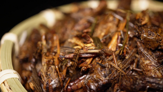 食用昆虫油炸蚂蚱蝗虫干炸蝗虫宠物饲料视频