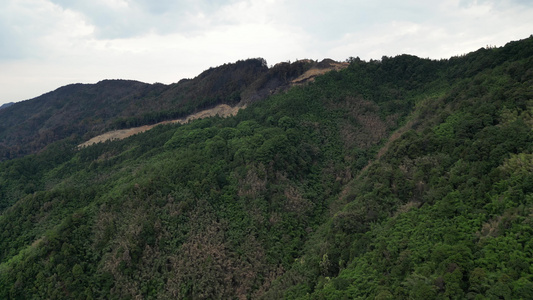 2022年8月28日 重庆北碚山火过后的缙云山焦土与隔离带航拍视频