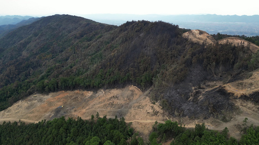 2022年8月28日 重庆北碚山火过后的缙云山焦土与隔离带航拍视频