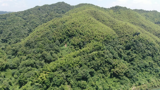 航拍自然风光大山森林植被视频