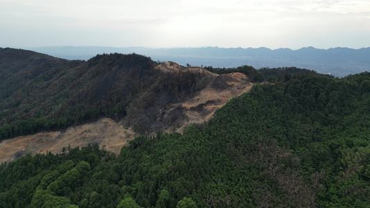 2022年8月28日 重庆北碚山火过后的缙云山焦土与隔离带航拍视频