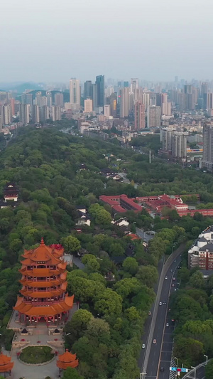 航拍绿荫环绕的武汉旅游地标城市风光著名景点黄鹤楼风光城市47秒视频