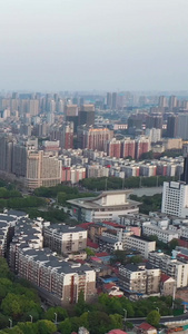 航拍绿荫环绕的武汉旅游地标城市风光著名景点黄鹤楼城市天际线视频