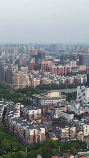 航拍绿荫环绕的武汉旅游地标城市风光著名景点黄鹤楼城市天际线47秒视频