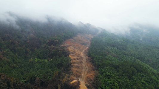 重庆山火过后 北碚缙云山隔离带迎来大范围降雨 云雾缭绕视频