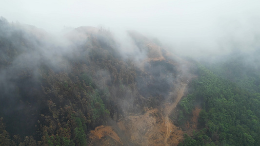 重庆山火过后 北碚缙云山隔离带迎来大范围降雨 云雾缭绕视频