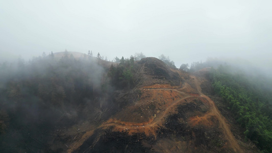 重庆山火过后 北碚缙云山隔离带迎来大范围降雨 云雾缭绕视频