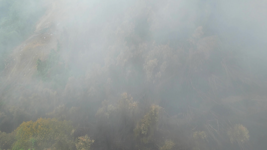 重庆山火过后 北碚缙云山隔离带迎来大范围降雨 云雾缭绕视频