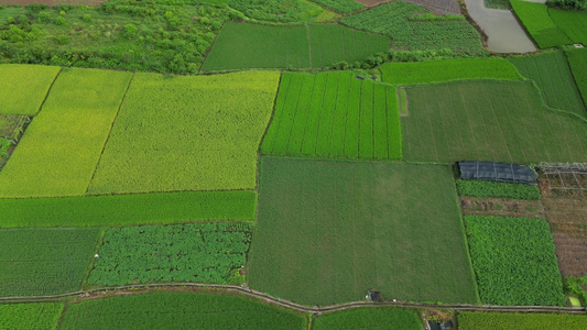 航拍桂林喀斯特地貌山间的村庄和稻田视频