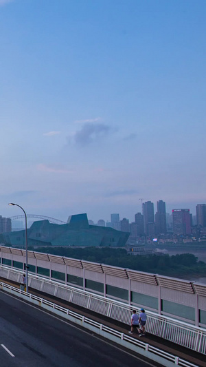 重庆千厮门大桥江北大剧院中央CBD白转黑素材城市素材16秒视频