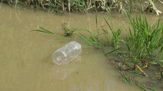 棕河上的塑料瓶流视频