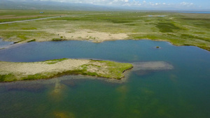 青海湖湿地26秒视频