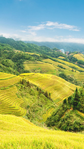 挂在天边的美景 桂林龙胜梯田视频