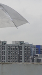 天台上看雨景的白领美女小姐姐透明伞视频