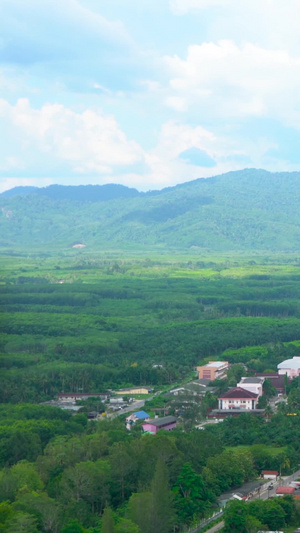 泰国热带雨林中的城市合集世界环保日39秒视频