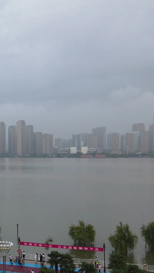 航拍风光城市长江汛期洪峰过后在堤坝上看江水上涨的游客人群素材写字楼49秒视频