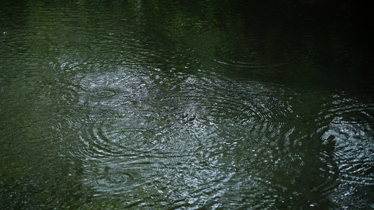 4k下雨的湖面泛起涟漪视频