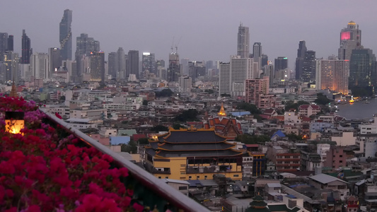 对抗传统房屋和摩天大楼的城市风景的美丽花棚在Bangkok视频