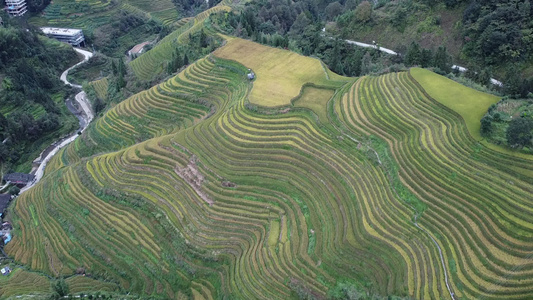 航拍桂林龙胜梯田视频