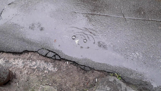 城市沥青上滴落的雨滴视频