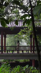 细雨绵绵女孩公园游玩女孩背影视频