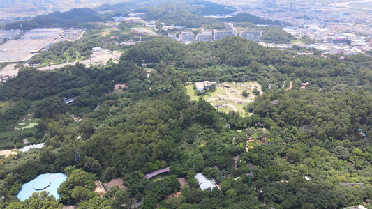 广州长隆野生动物园视频