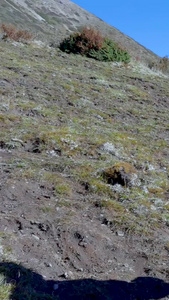 负重前行徒步登山的登山者视频