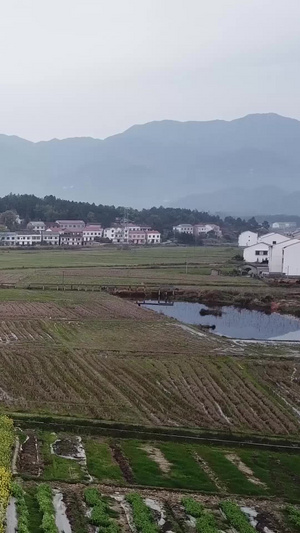 【旅游宣传片】湖南航拍南岳衡山田园合集农作物99秒视频