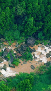 航拍雨后森林中的河流视频素材视频