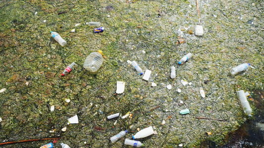 海洋中塑料垃圾污染的环境问题包括环境环境视频