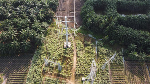 飞过电平柱10秒视频