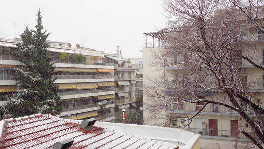 在住宅区下雪四周都是树木的公寓楼群周围是树视频